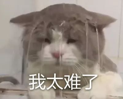 /uploads/image/2019/09/d521e8ea1d1a1f655d3915675913e1aa.jpg