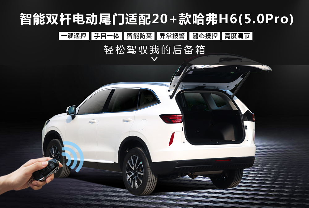 20＋款哈弗H6(50Pro)电尾产品1000x673.jpg