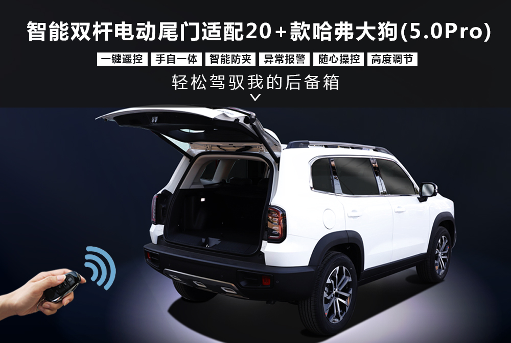 20＋款哈弗大狗(5-0Pro)电尾产品1000x673.jpg