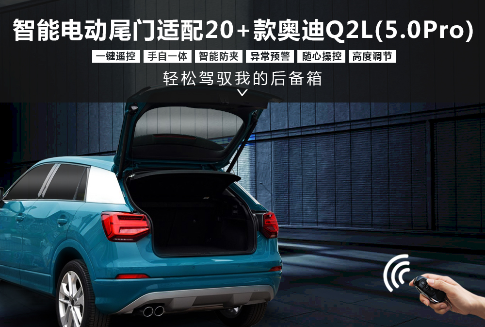 18+款奥迪Q2L（5-0Pro）电尾1000x673.jpg