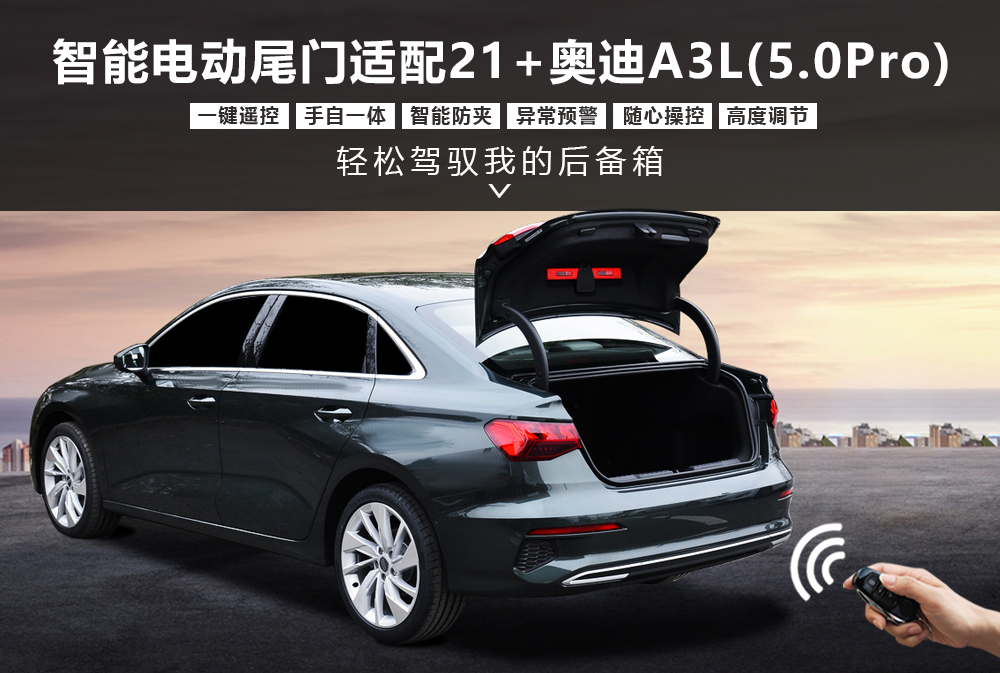 21+款奥迪A3L（5·0Pro）电尾1000x673.jpg