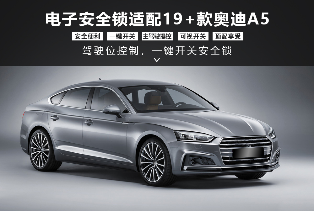 奥迪A5安全锁详情图1000x673.jpg