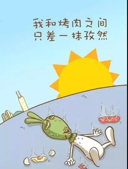 车载空气净化器